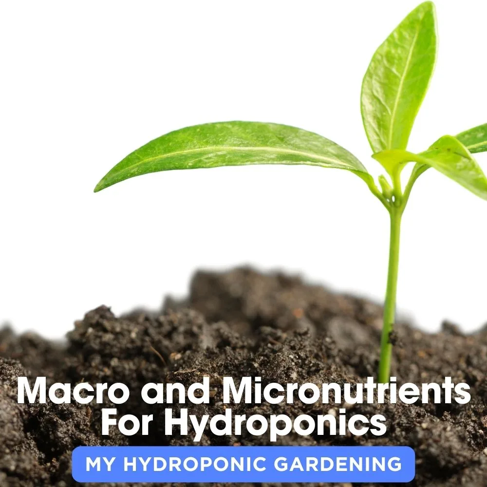 Macro and Micronutrients Essentials For Hydroponic