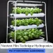 Nutrient Film Technique Hydroponics
