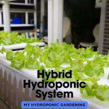 Hybrid Hydroponic System