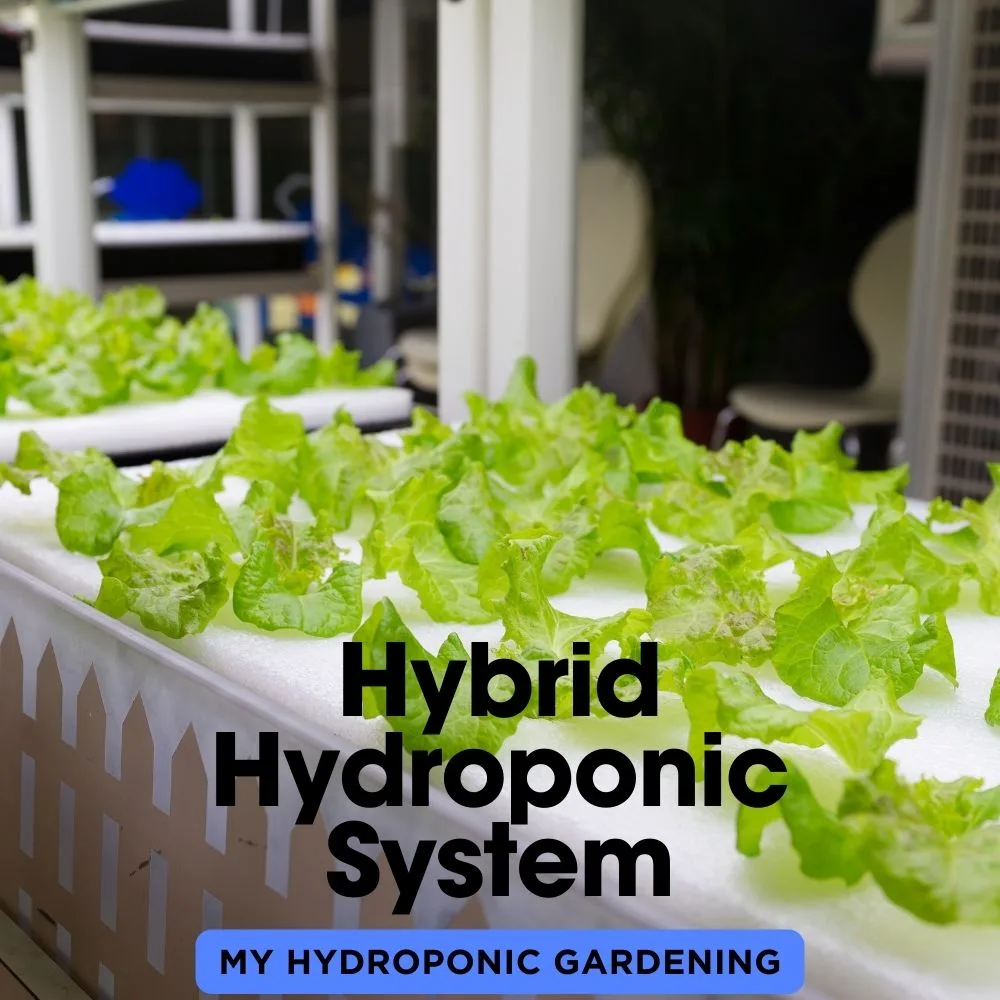 Hybrid Hydroponic System
