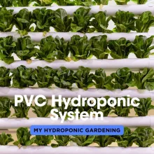PVC Hydroponic System
