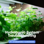 Hydroponic System Troubleshooting