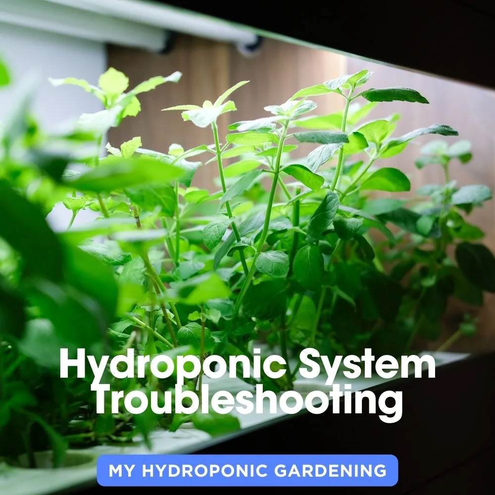 Hydroponic System Troubleshooting