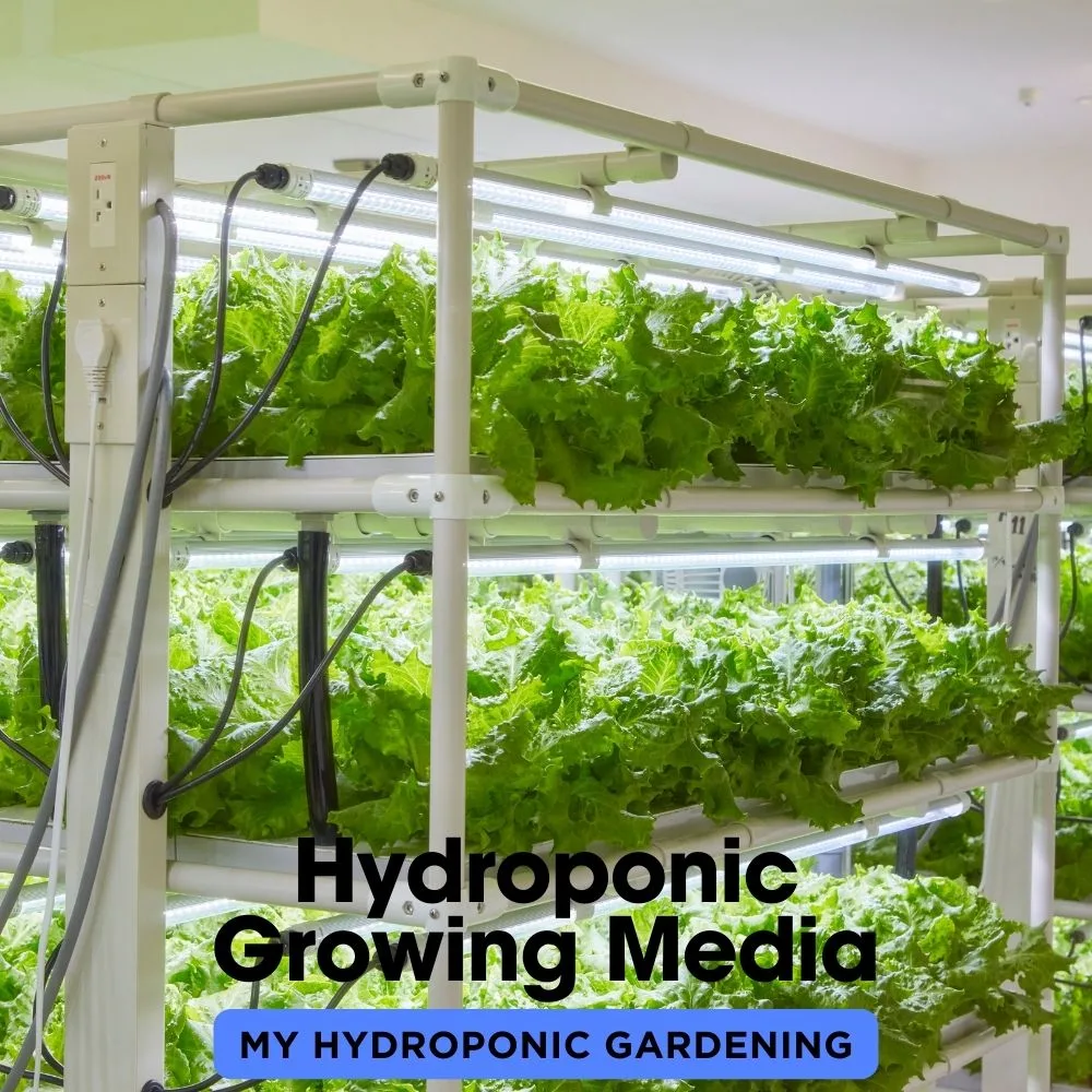 Hydroponic Growing Media