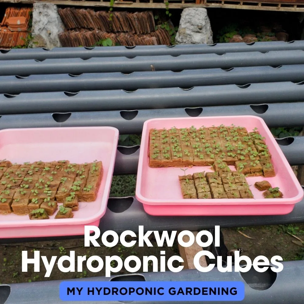Rockwool Hydroponic Cubes
