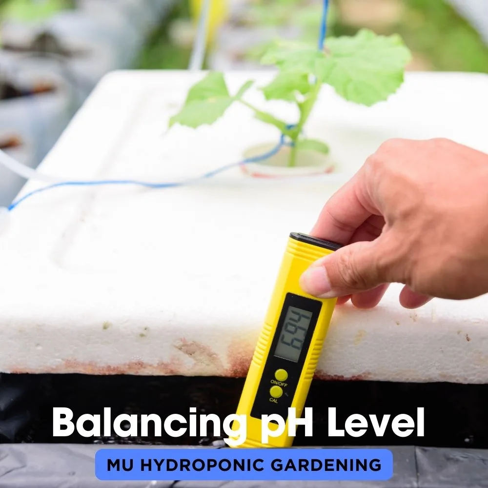 Balancing pH Level in Hydroponic Systems
