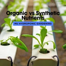 Organic vs Synthetic Nutrients