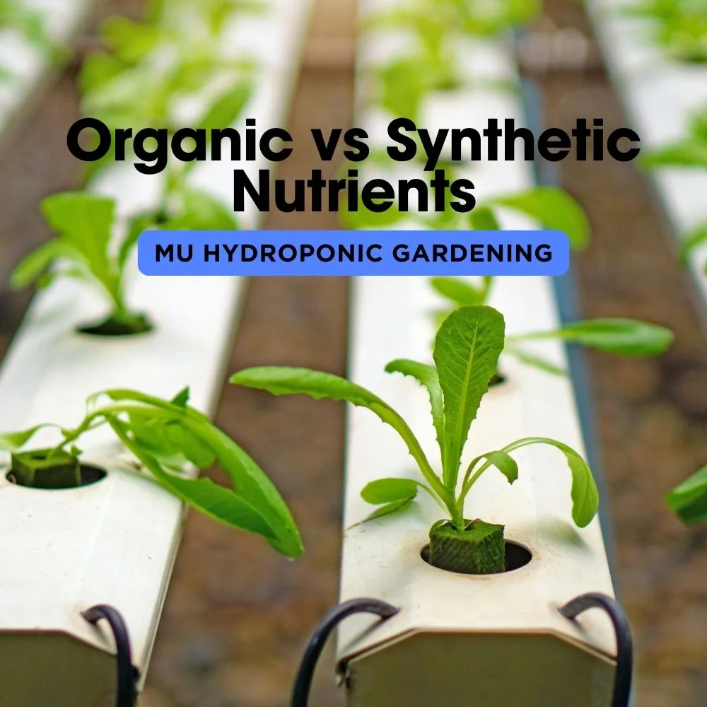 Organic vs Synthetic Nutrients