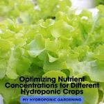 Optimizing Nutrient Concentrations for Different Hydroponic Crops