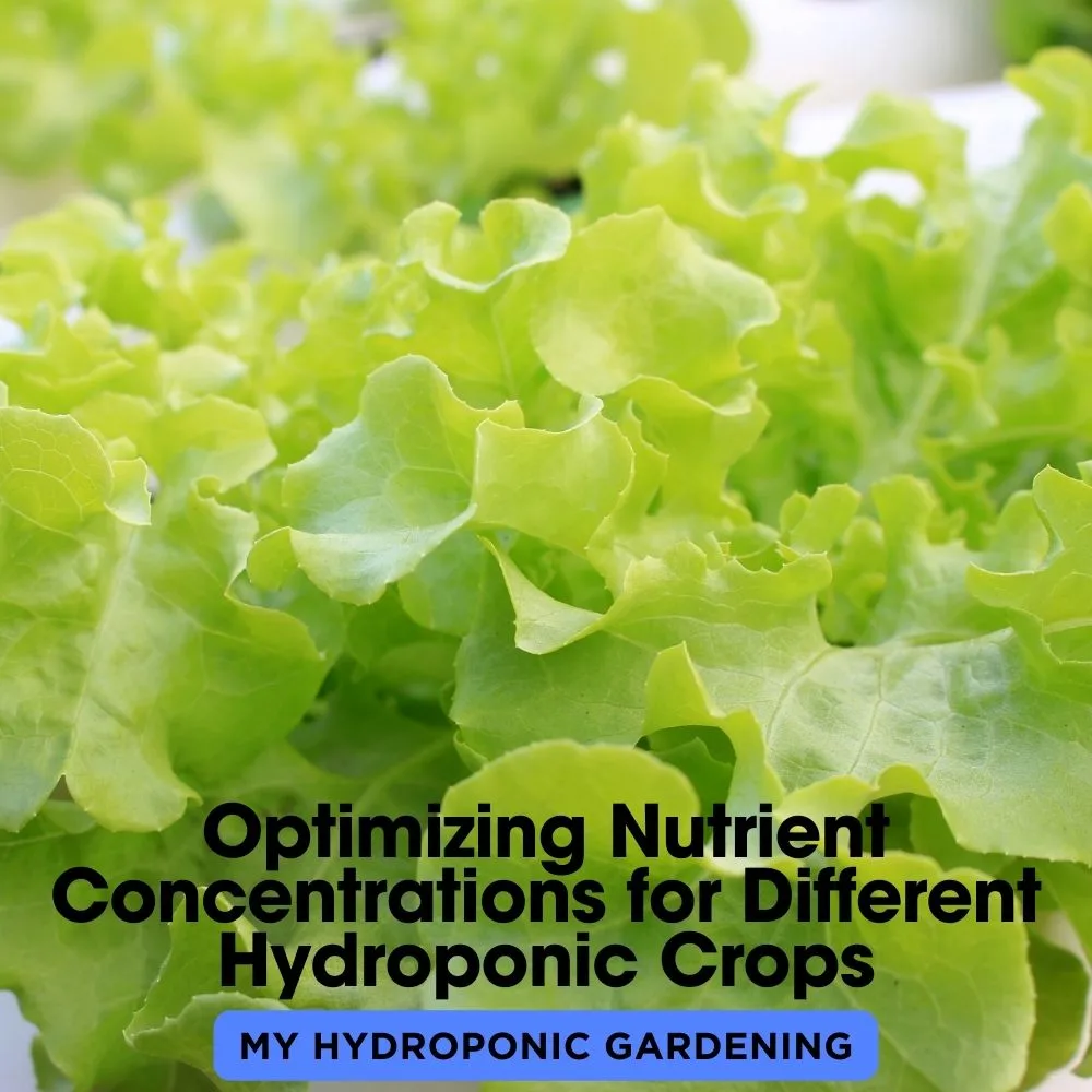 Optimizing Nutrient Concentrations for Different Hydroponic Crops