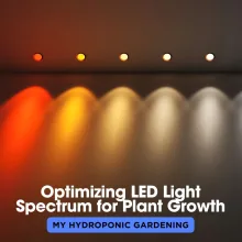 Optimizing LED Light Spectrum for Plant Growth