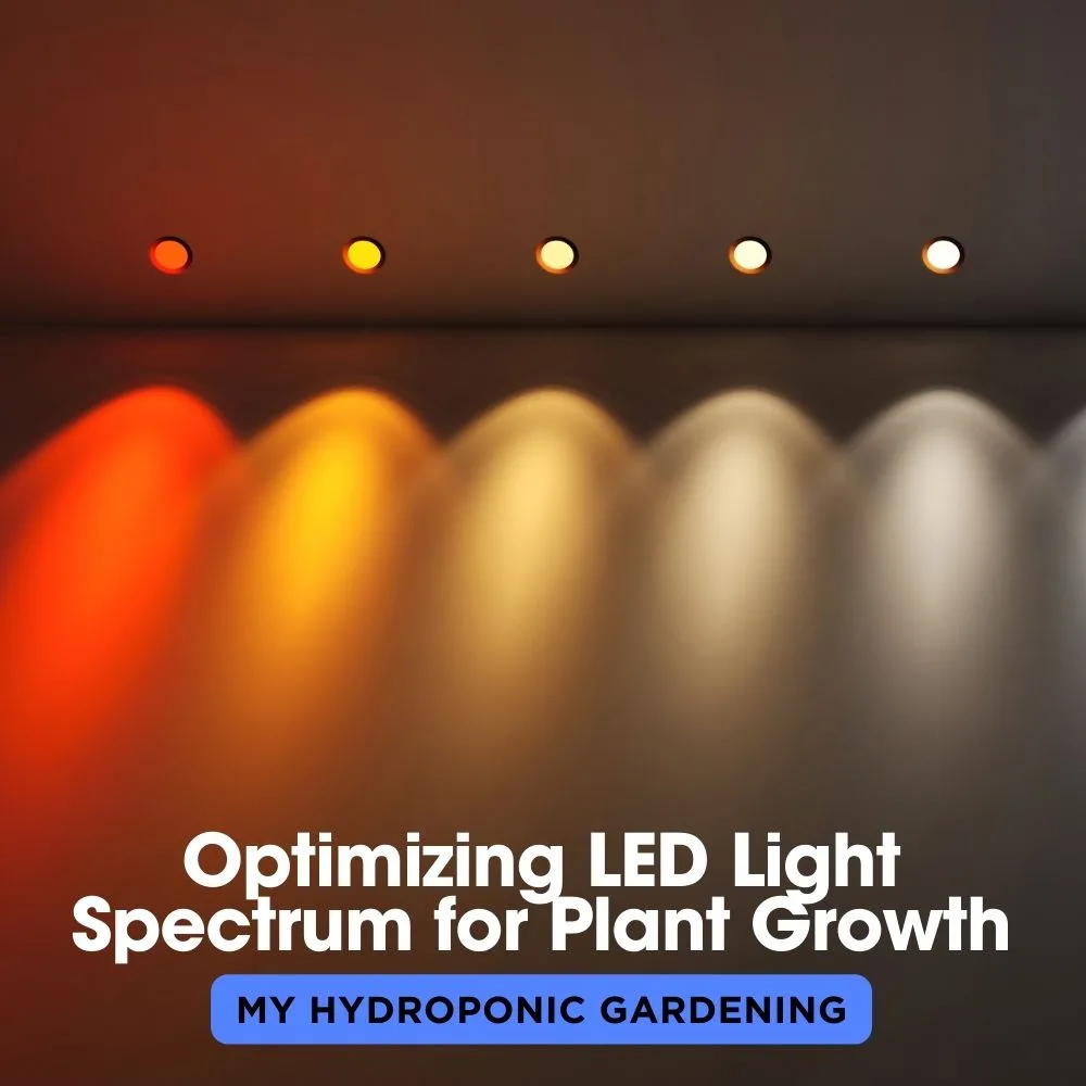 Optimizing LED Light Spectrum for Plant Growth