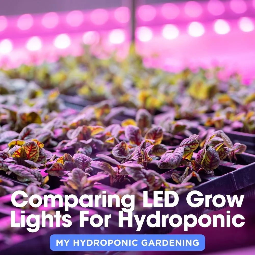 Comparing LED Grow Lights For Hydroponic