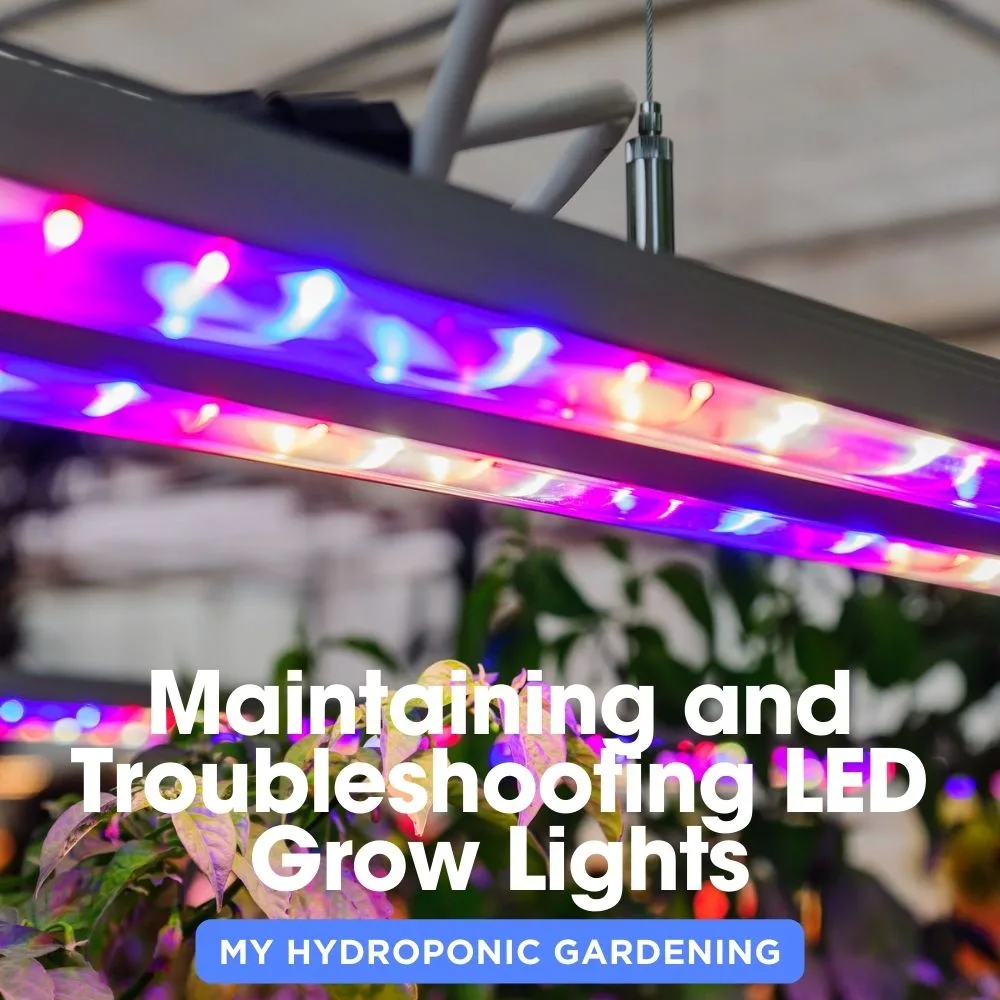 Maintaining and Troubleshooting LED Grow Lights for Hydroponic