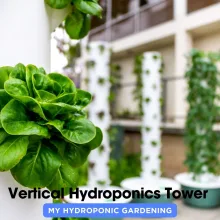 Vertical Hydroponics Tower Guide