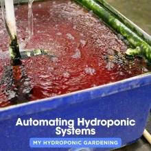 Automating Hydroponic Systems
